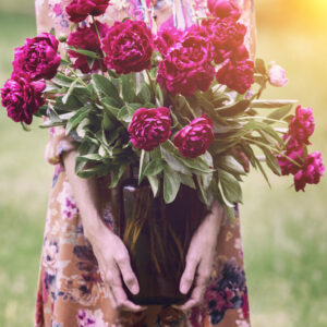 Herbaceous Mix Dozen