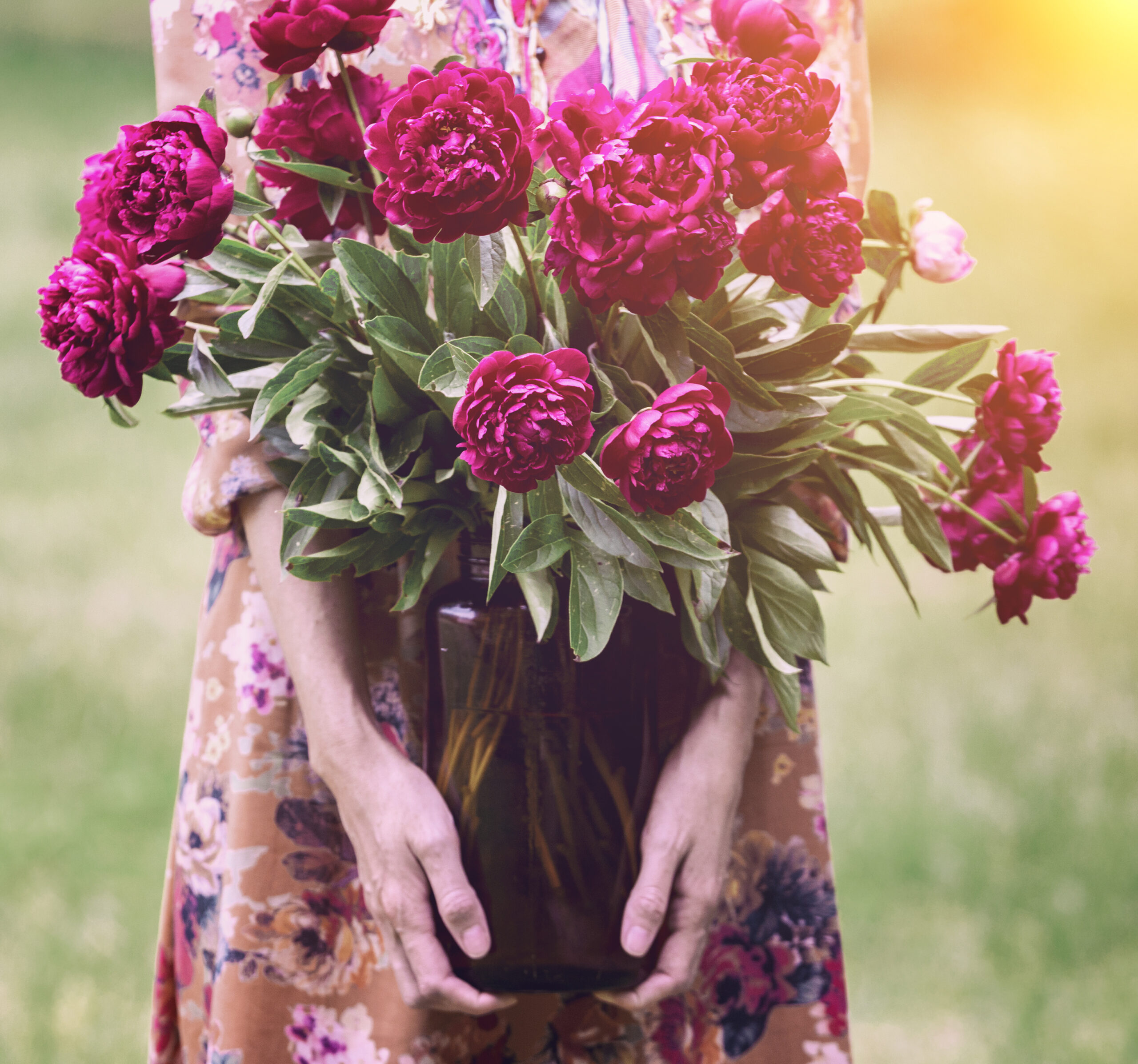 Herbaceous Mix Dozen