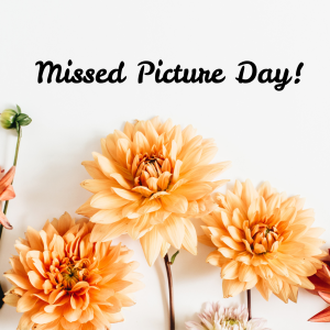 Holly Hill Masquerade Dahlia